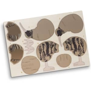 A wooden model kit featuring kiwi shapes in natural wood tones, with intricate cut-out designs for assembly.