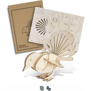 A wooden model of a fantail bird with intricate cut-outs, accompanied by a packaging design featuring similar bird illustrations.