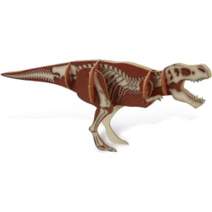 A wooden model of a Tyrannosaurus Rex in brown and white, featuring skeletal design. It has a branding logo.