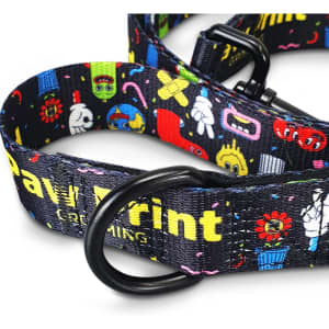 A dog leash featuring a colourful pattern with various playful designs and a black buckle. It has a logo on the strap.