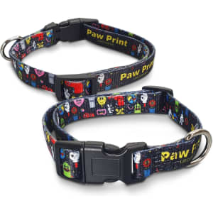 A dog collar with a vibrant pattern featuring various colourful designs and a secure plastic buckle.