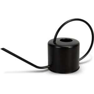 A black watering can with a long spout and an elegant handle, featuring a simple, modern design.