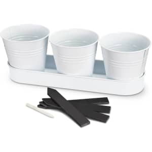A white keepsake herb planter with three pots on a tray, accompanied by black labels and a white marker.