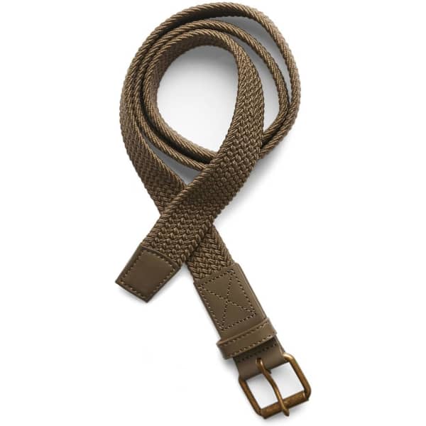 Mesh Belt