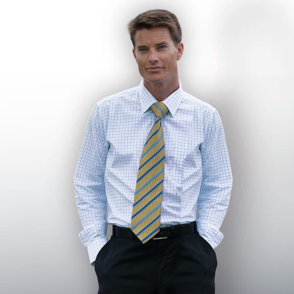A button-up check shirt in blue and white paired with a yellow striped tie, worn by a man against a light background.