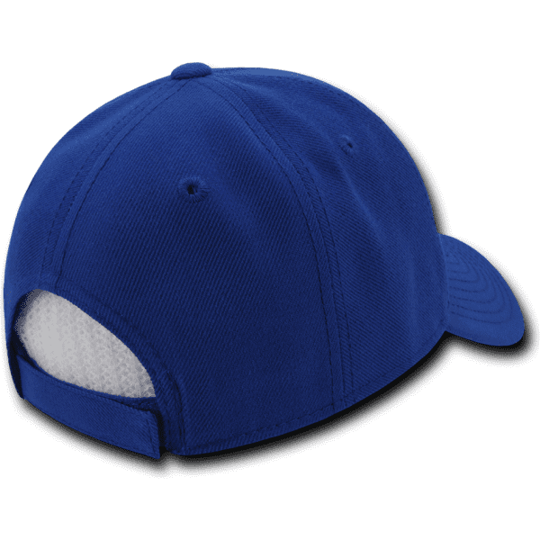A blue 6 panel low profile structured cap viewed from the back, featuring a logo on the side.