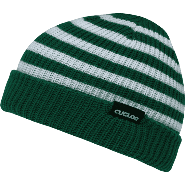 A green and white striped beanie with a folded cuff and a branded label.