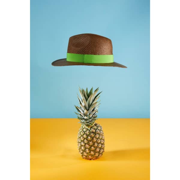 A brown Traveller Hat with a green band floats above a pineapple against a blue and yellow background.