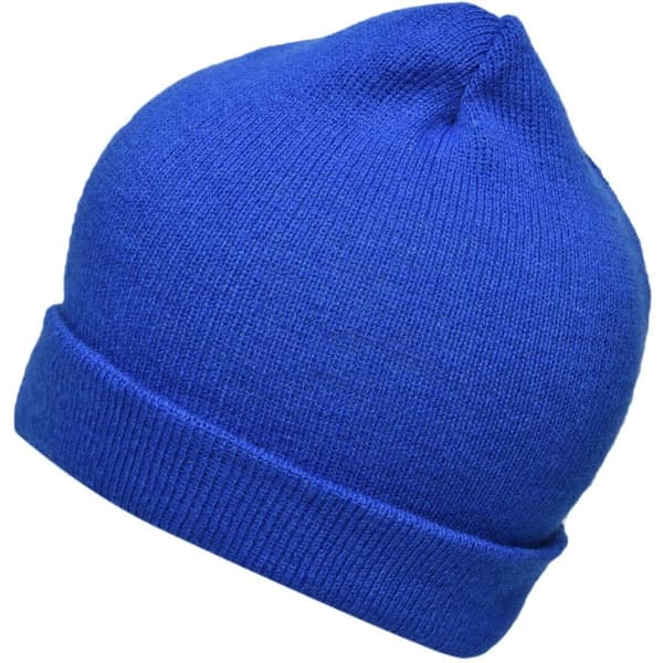 A blue knitted beanie with a rolled cuff and a rounded top, featuring a logo.
