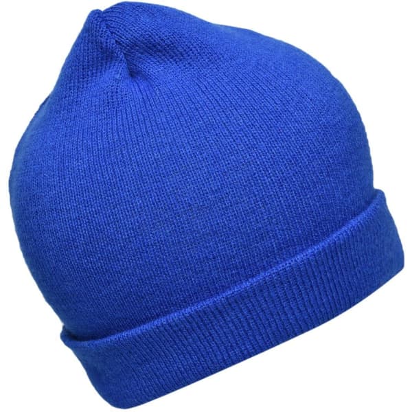 A blue knitted beanie with a rolled cuff and a rounded top, featuring a logo on the side.