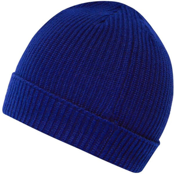 A blue beanie with a ribbed texture and a folded hem, featuring a logo.