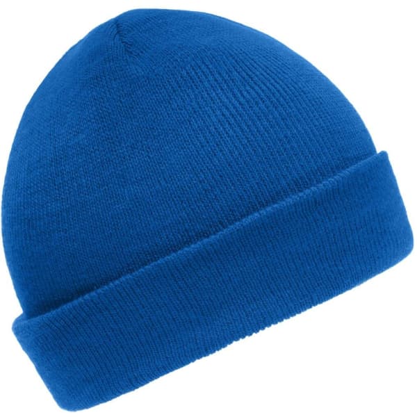 A blue knitted beanie with a fold-up cuff and a smooth texture, featuring a logo.