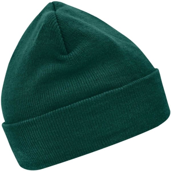 A dark green knitted beanie made with Thinsulate™ material, featuring a fold-over cuff.