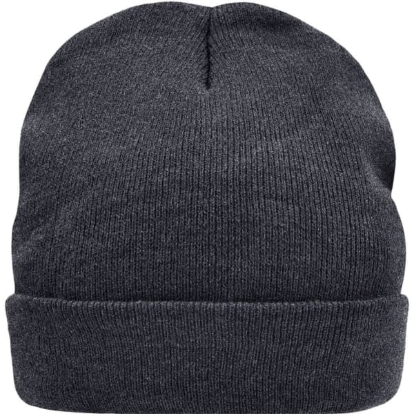 A grey knitted beanie featuring a Thinsulate™ lining and a folded cuff, with a logo on the side.