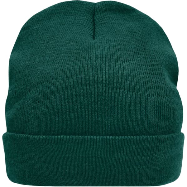 A green knitted beanie featuring a foldover cuff and ribbed texture, with a logo present.