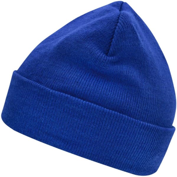 A blue knitted beanie featuring Thinsulate™ insulation and a folded cuff. It has a logo on the side.