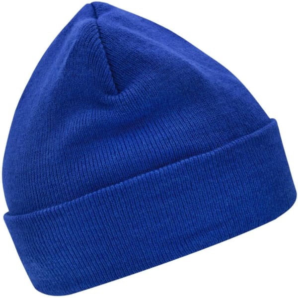 A blue knitted beanie featuring Thinsulate™ material and a folded cuff, including branding.