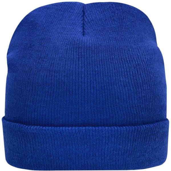 A blue knitted beanie featuring Thinsulate™ insulation and a folded cuff. It has a logo on the side.