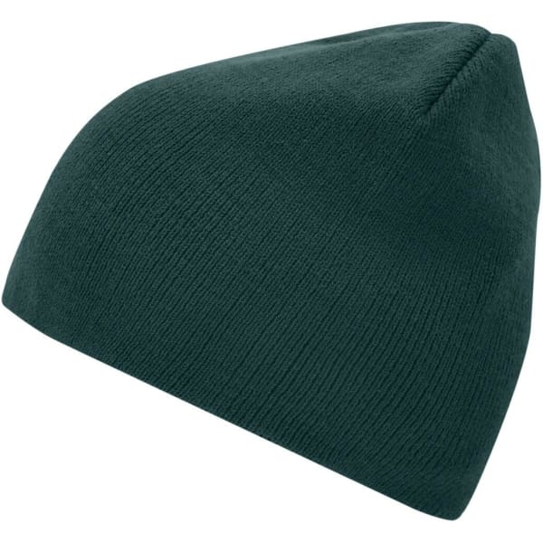 A green beanie with a snug fit and a simple, ribbed texture. It features a logo on one side.