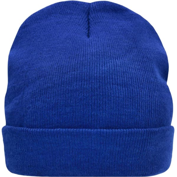 A blue knitted cap featuring Thinsulate insulation and a folded cuff, with a logo on the side.