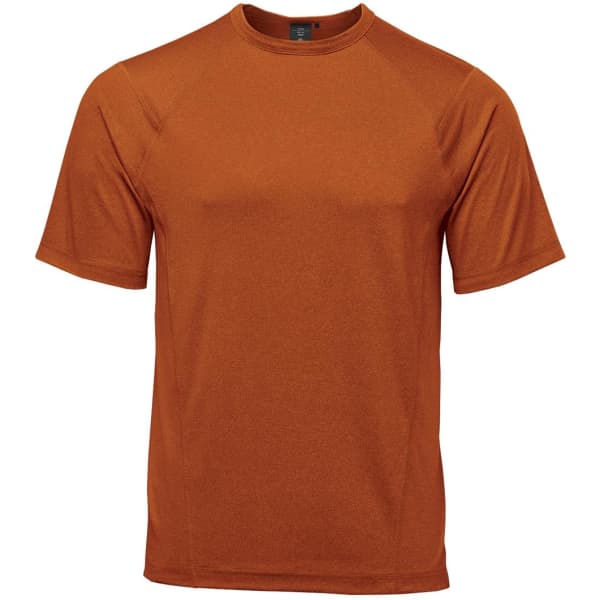 A rust-coloured men's T-shirt with a regular fit and short sleeves, featuring a logo.