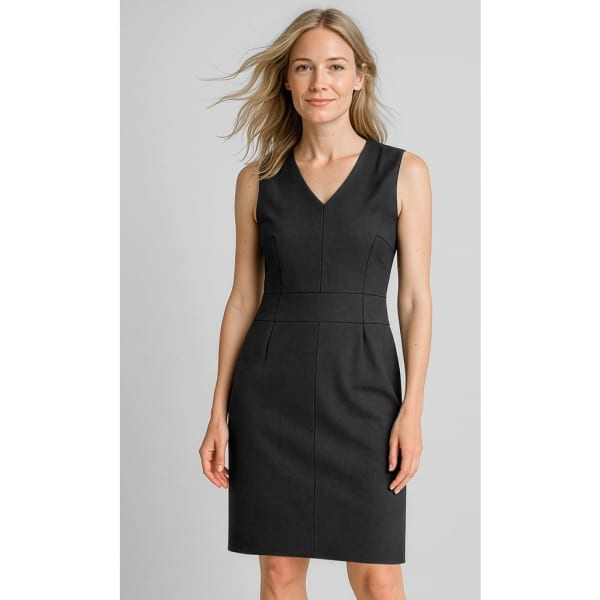 A sleeveless V-neck dress in black, featuring a fitted silhouette and subtle seam detailing.