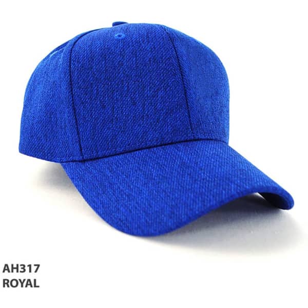A royal blue cap with a structured design and a flat peak, featuring a logo on the front.