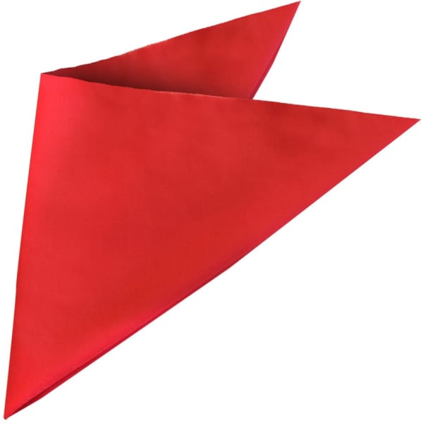 A red bandanna with a triangular shape, featuring a logo on one side.