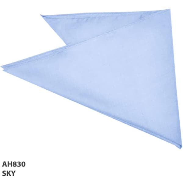 A light blue bandanna with a triangular shape, featuring a logo.