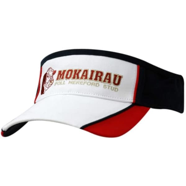 A tri-colour visor featuring white, navy, and red panels, with a logo on the front.