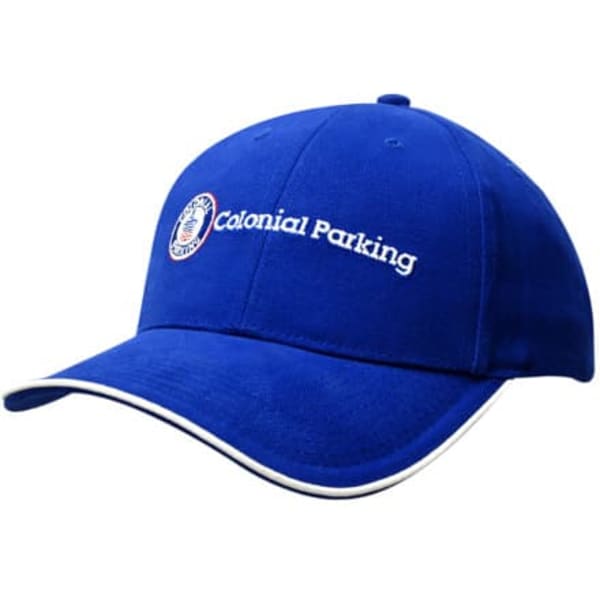 A blue cap with a curved brim and a logo on the front, featuring white detailing.