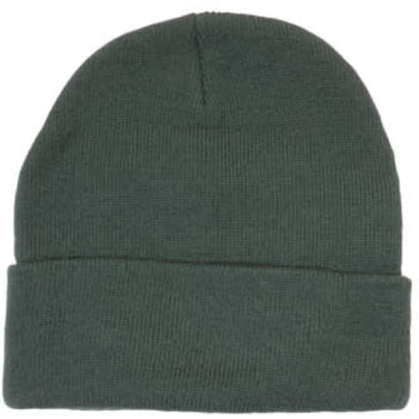 A green acrylic beanie with a fold-up cuff and a seamless crown. It features a branding logo.