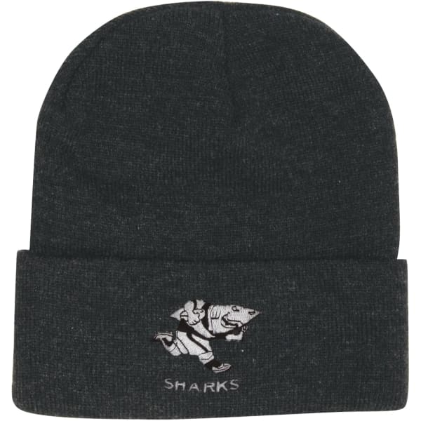 A dark grey beanie with a logo featuring a shark and a character. It has a folded cuff design.