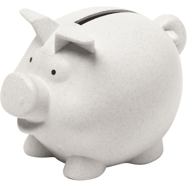 Coiny Piggy Bank
