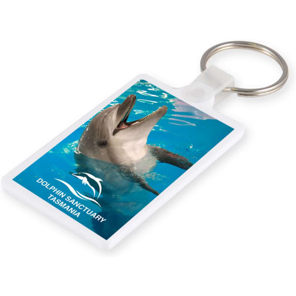 A keyring featuring a dolphin against a blue water background, with a logo and text. The keyring is white.