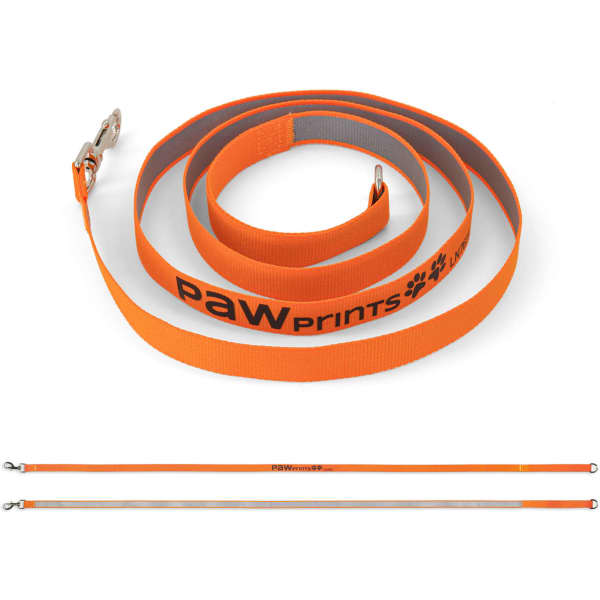 An orange printed dog lead with reflective detailing and a metal clasp, featuring a logo.