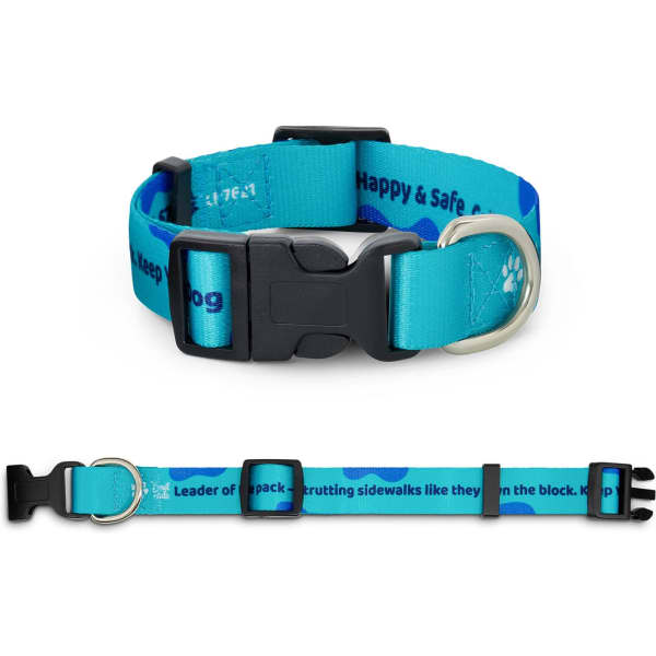 A bright blue dog collar featuring an adjustable design and a plastic buckle, with a metallic D-ring for leash attachment.
