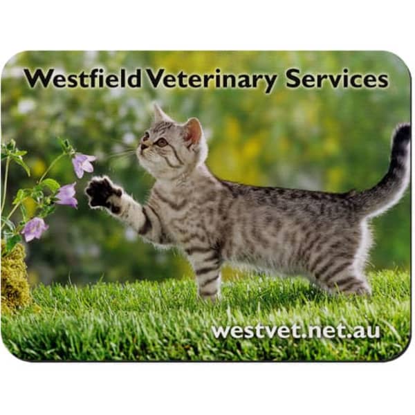 A fabric mouse mat featuring a playful grey tabby cat reaching for flowers, with a green grass background.