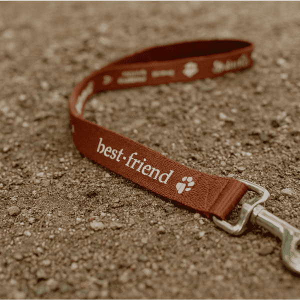 1.4M Dog Leash 19mm