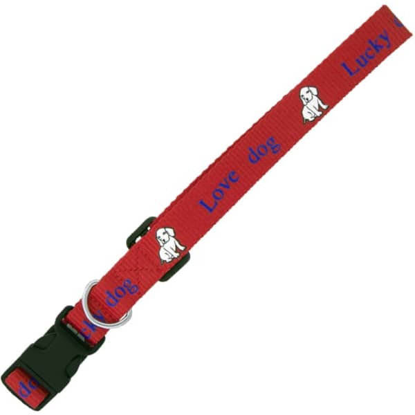 Dog Collar 19mm