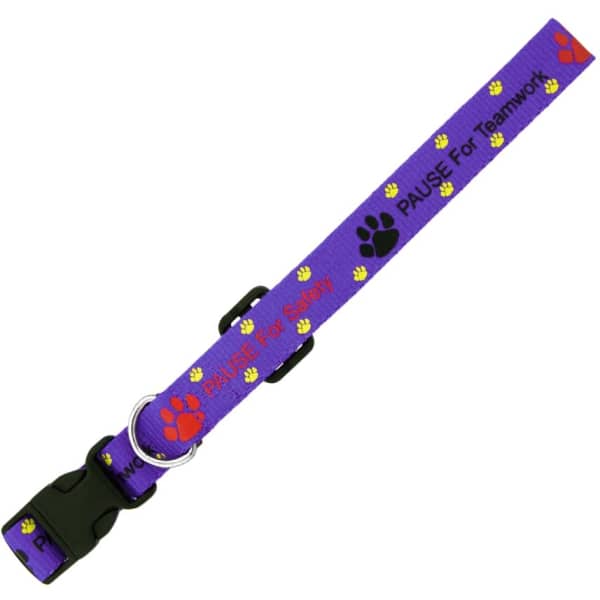 Dog Collar 10mm