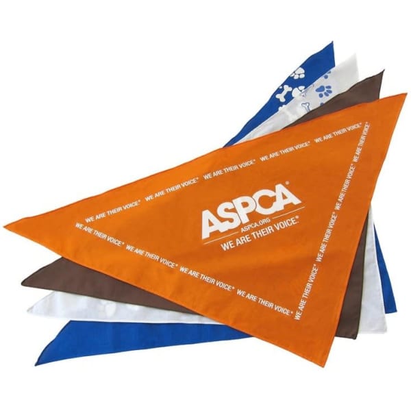 Pet Bandana ( Large )