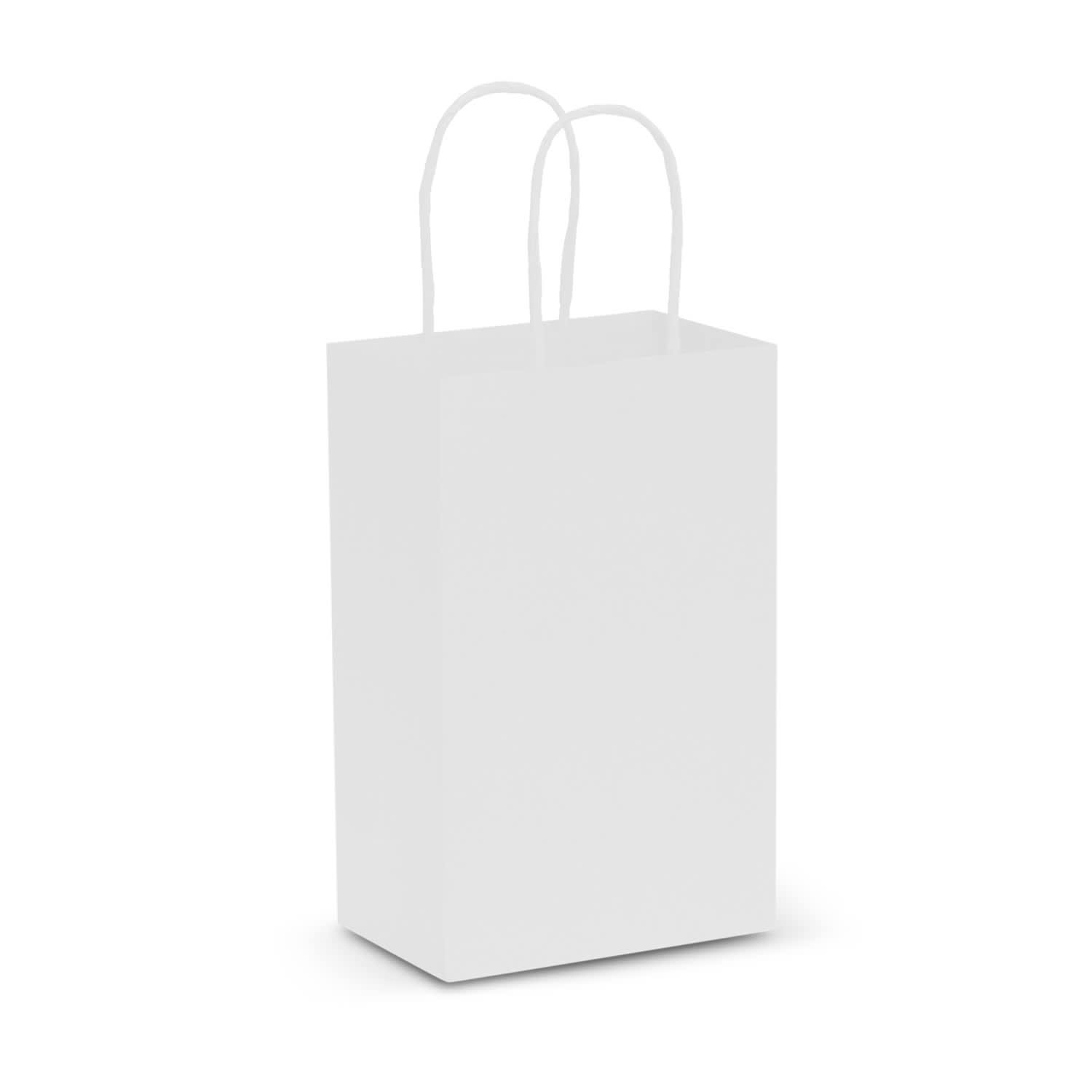 Paper Carry Bag - Small