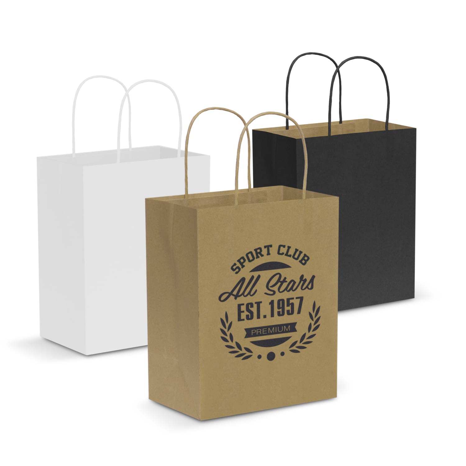 Paper Carry Bag - Medium - image 1