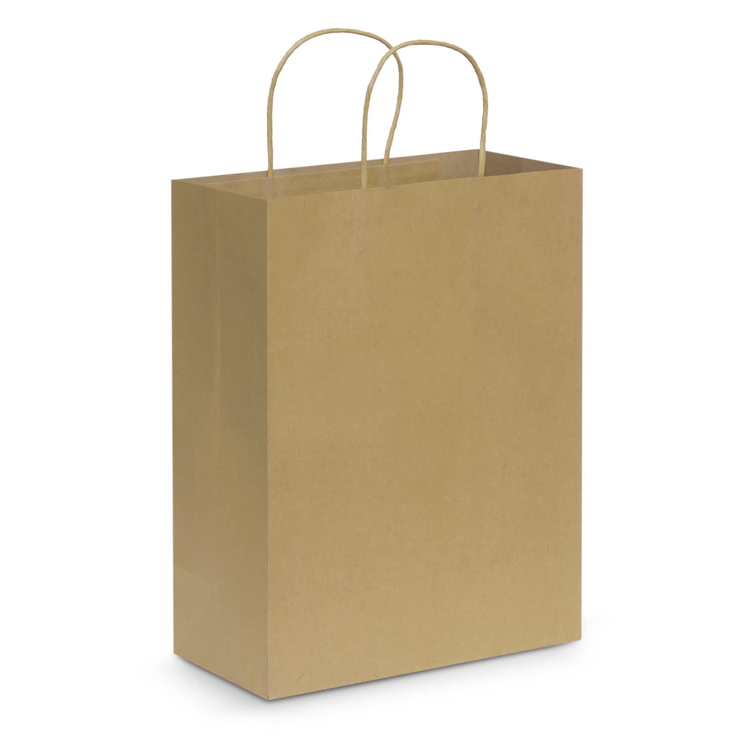 Paper Carry Bag - Large - 107590 Image Natural