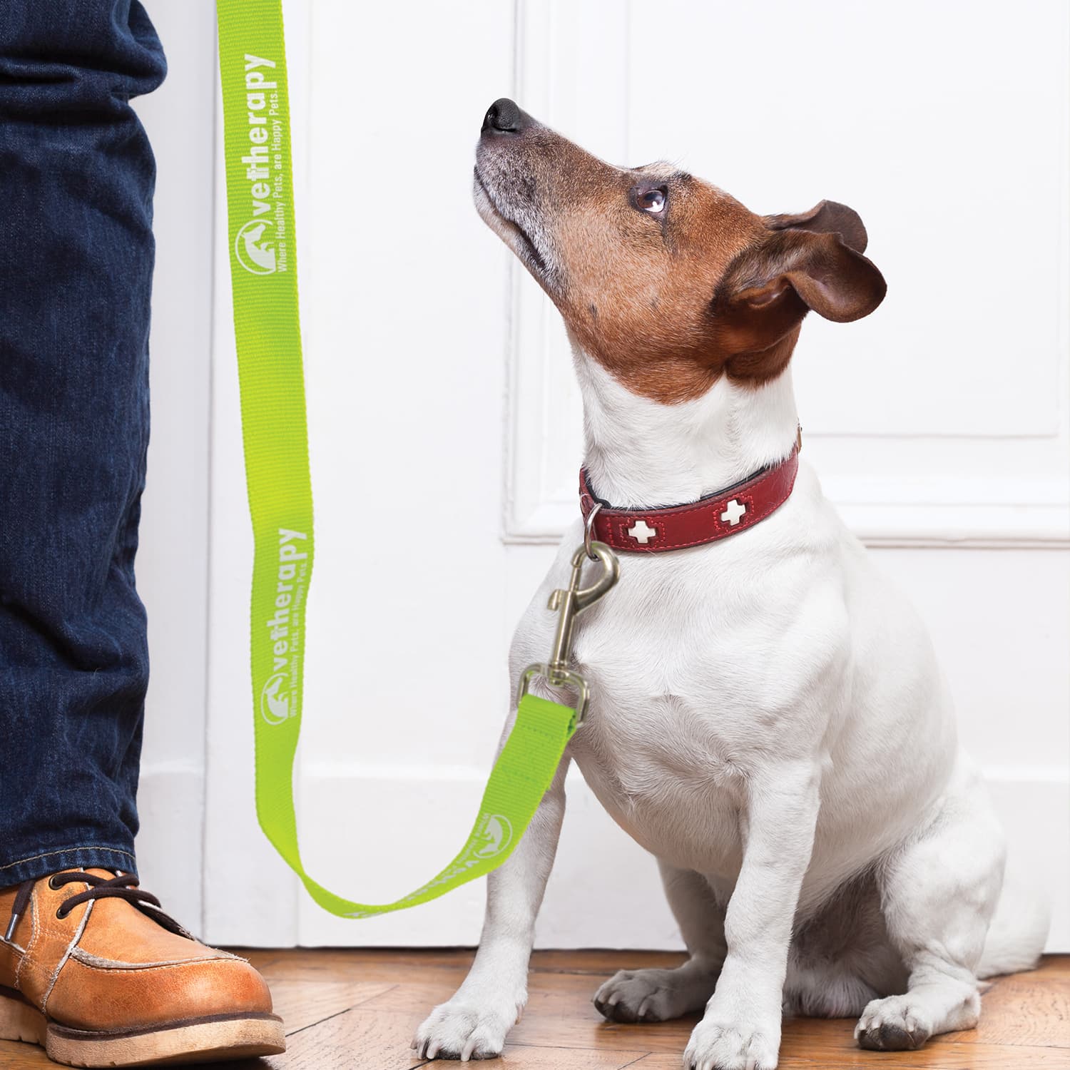 Trek Dog Leash - 110798 Image