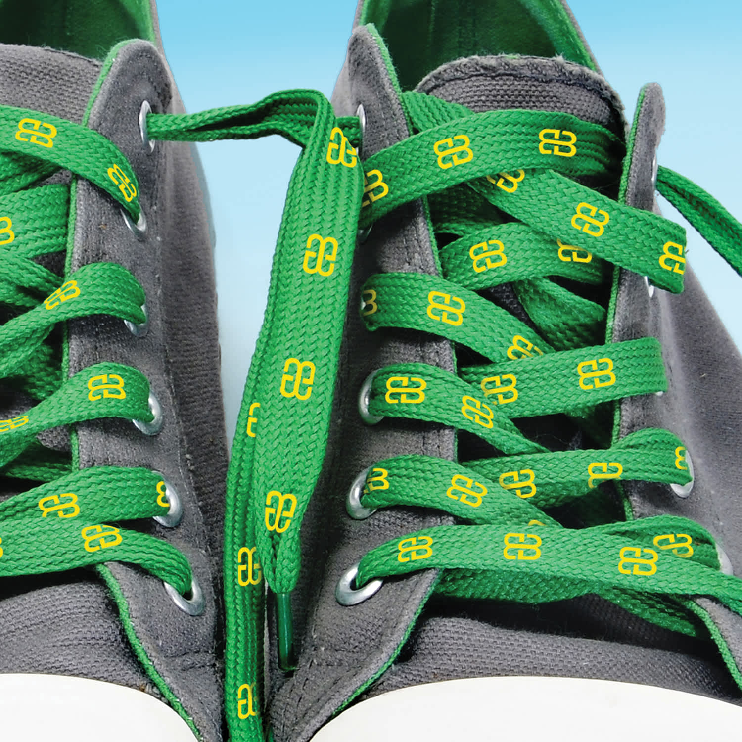 Shoe Laces - 110799 Image