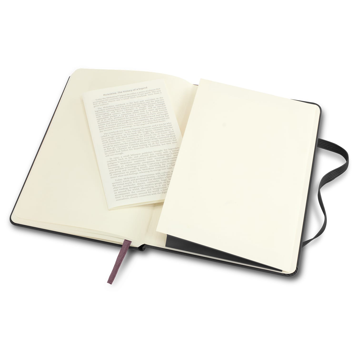 Moleskine Classic Hard Cover Notebook - Large - 117221 Image 