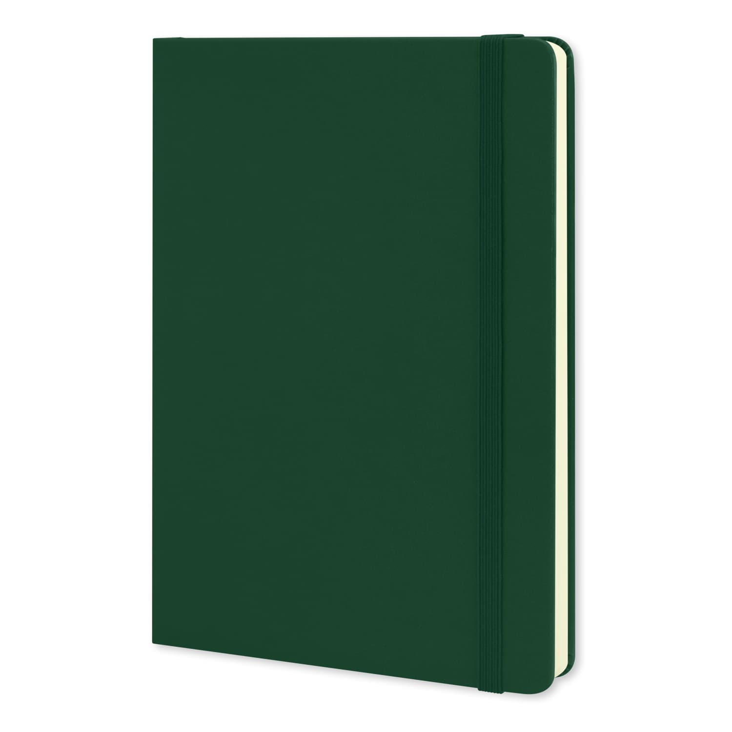 Moleskine Classic Hard Cover Notebook - Large - 117221 Image Myrtle Green