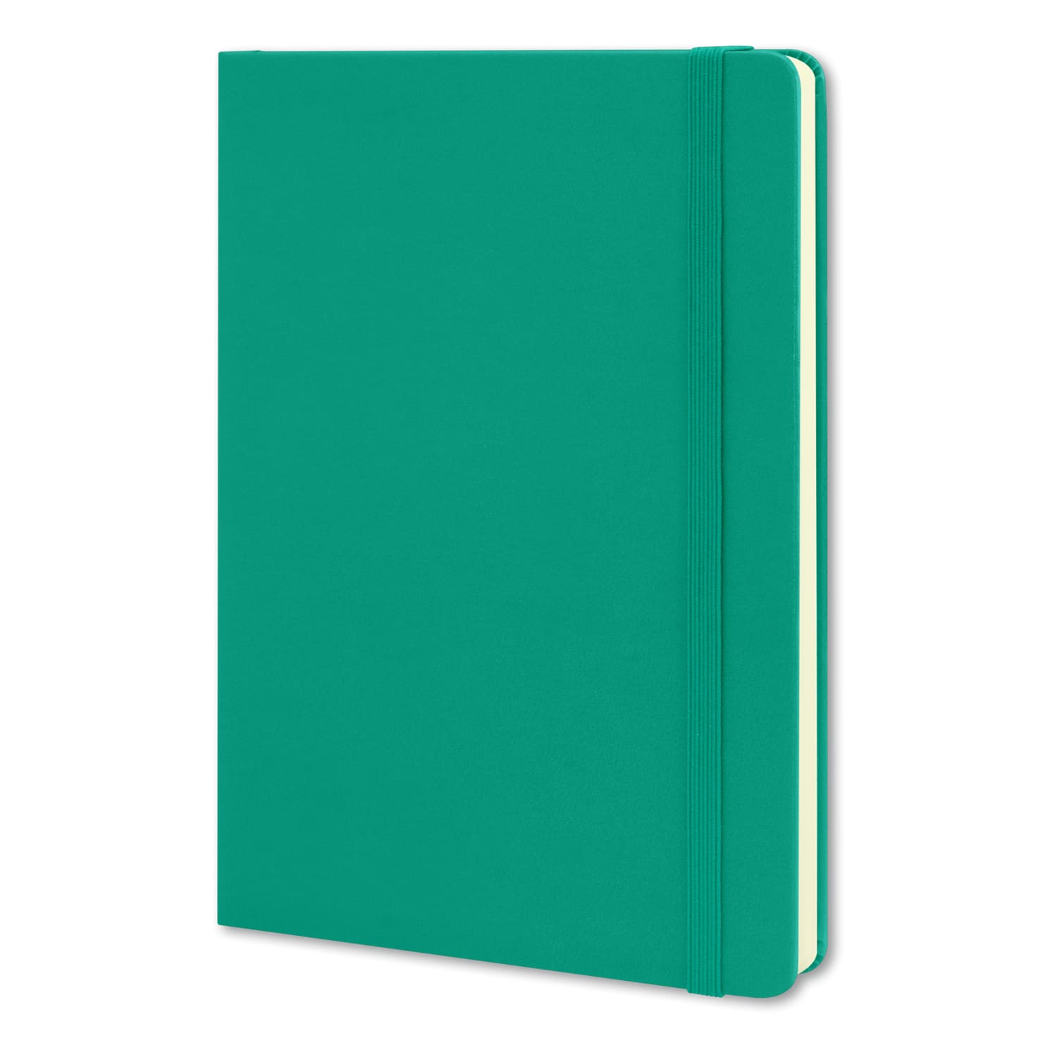 Moleskine Classic Hard Cover Notebook - Large - 117221 Image Reef Blue